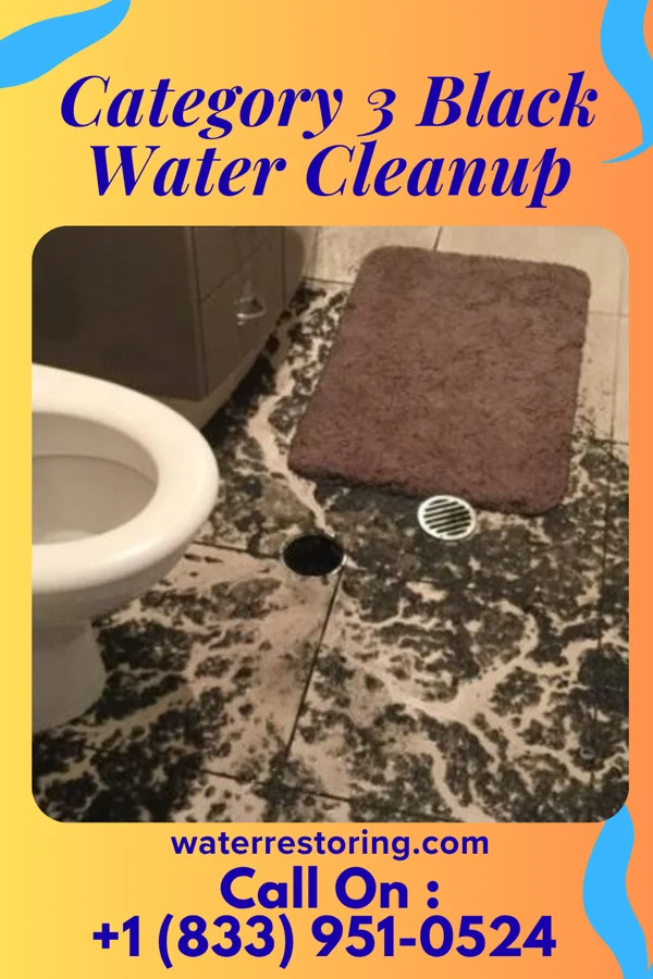 Category 3 Black Water Cleanup in Elsie, NE
