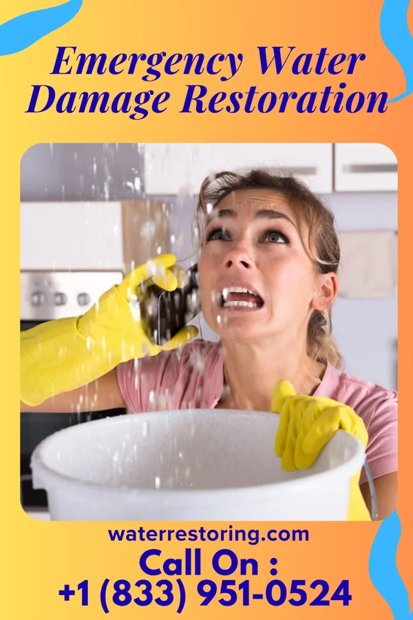 Emergency Water Damage Restoration in Elsie, NE