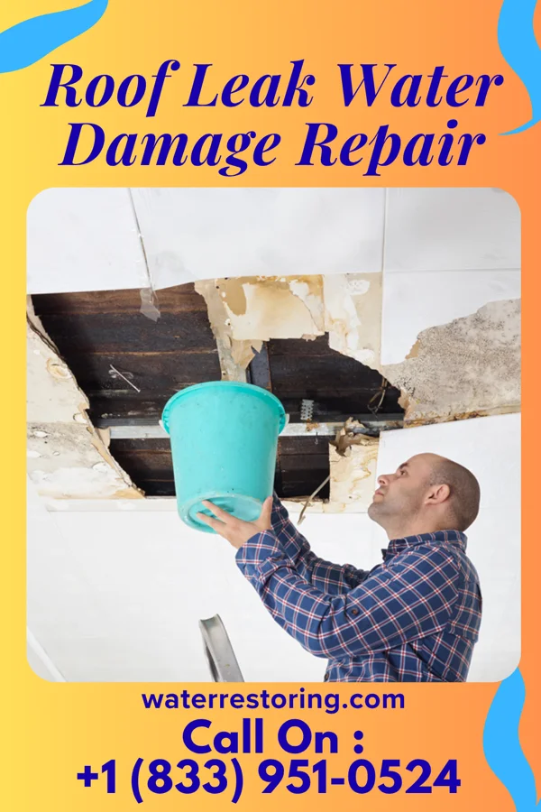 Roof Leak Water Damage Repair in Elsie, NE